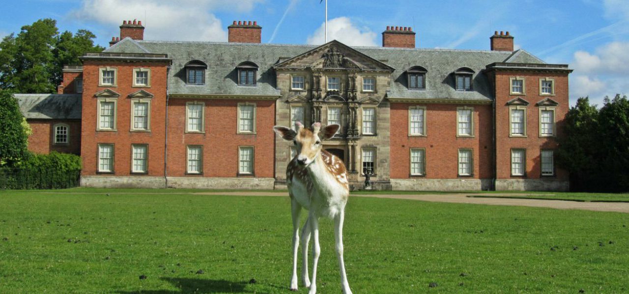 Dunham Massey Creative Tourist