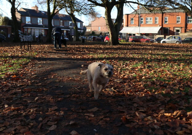 Beech Road Park