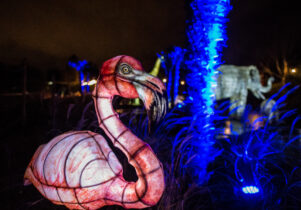 The Lanterns at Chester Zoo