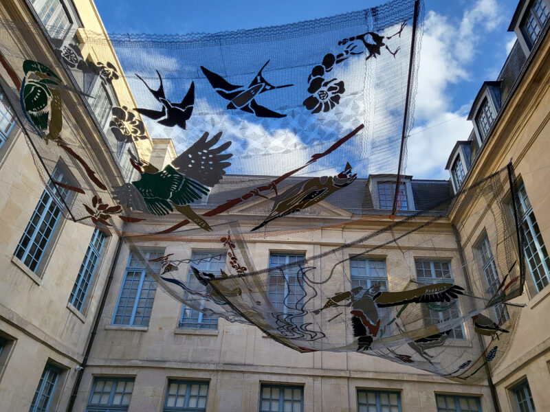 Maria Loizidou, Moi Balbuzard Migrant, 2023, Musee de la Chasse et de la Nature, Paris 2023-24. Photography by Maria Lund.(3)