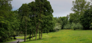 Thompson Park in Burnley