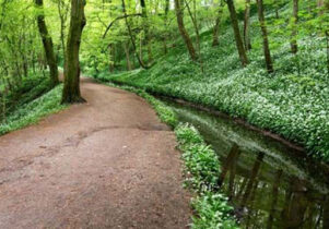 skipton castle woods