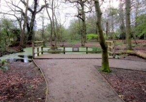 Quaker's Coppice