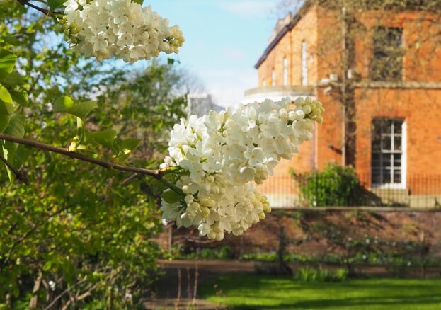 Elizabeth Gaskell's garden