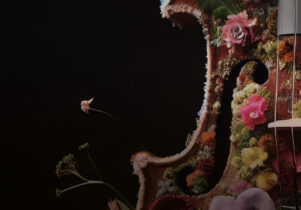 Photo on violin covered in flora and fauna