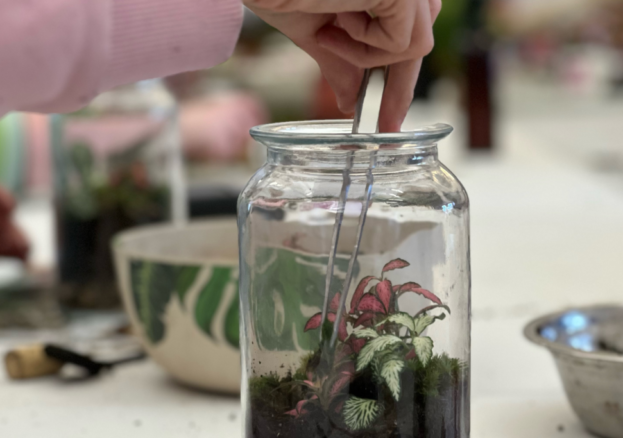 A person carefully uses a spoon to transfer small plants into a glass jar, showcasing a nurturing gardening activity.