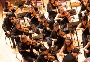 String section of symphony orchestra with players all wearing concert black