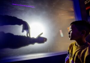 Boy watching hands making shadow puppets on a screen The Light Lab at the Science and Industry Museum