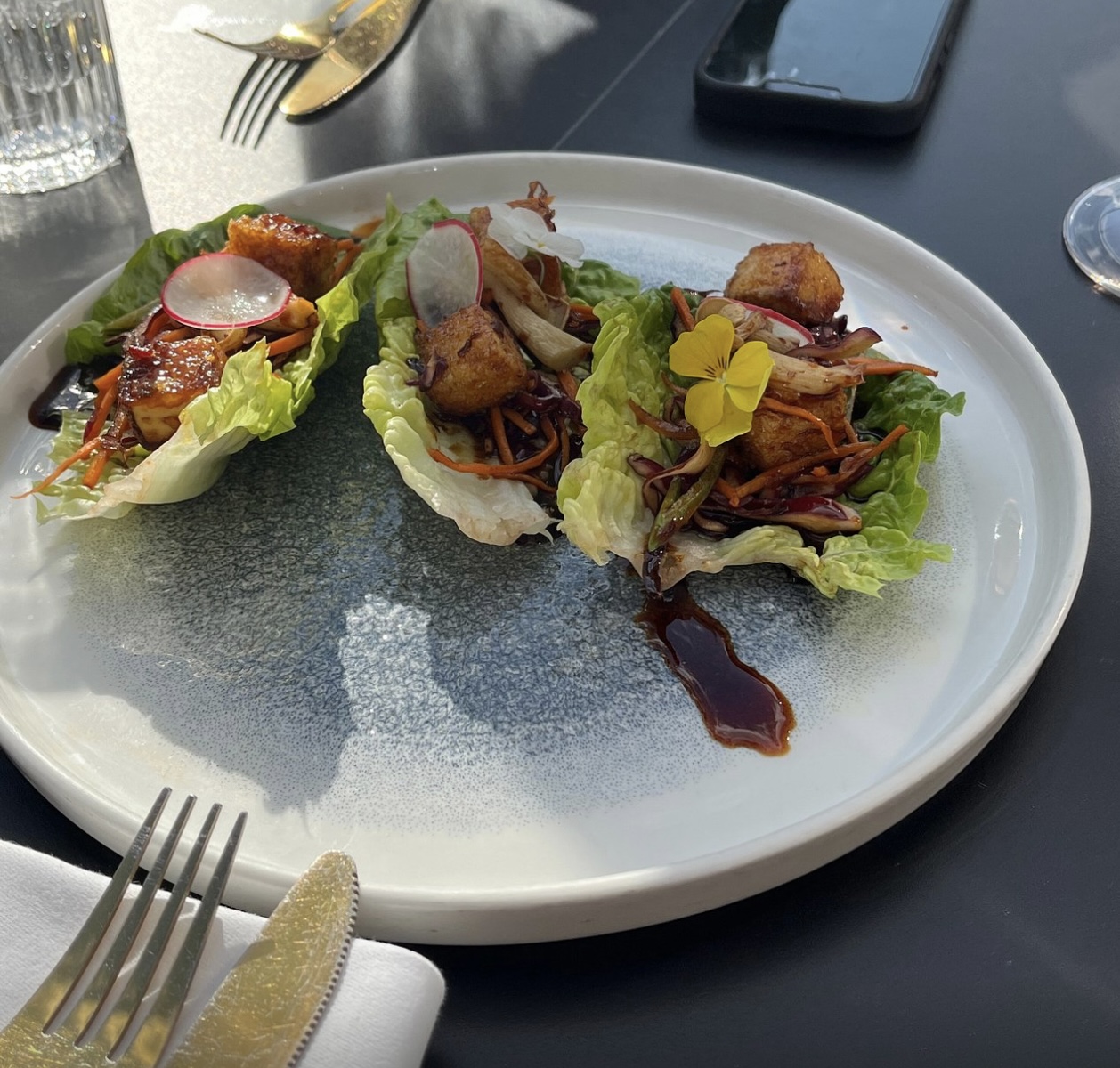 Vegan and Vegetarian 