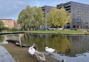 Jonathan Schofield Walking Tours -Tour Ancoats & New Islington