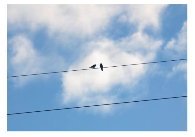 Two birds sit on a telegraph wire against a blue sky