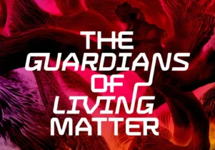 Image courtesy of Lowry.