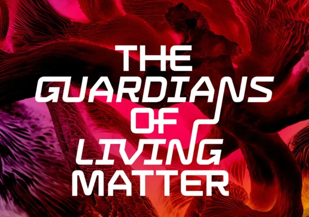 Image courtesy of Lowry.