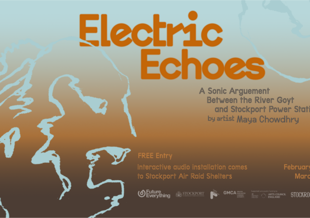 Image of the Electric Echoes banding 