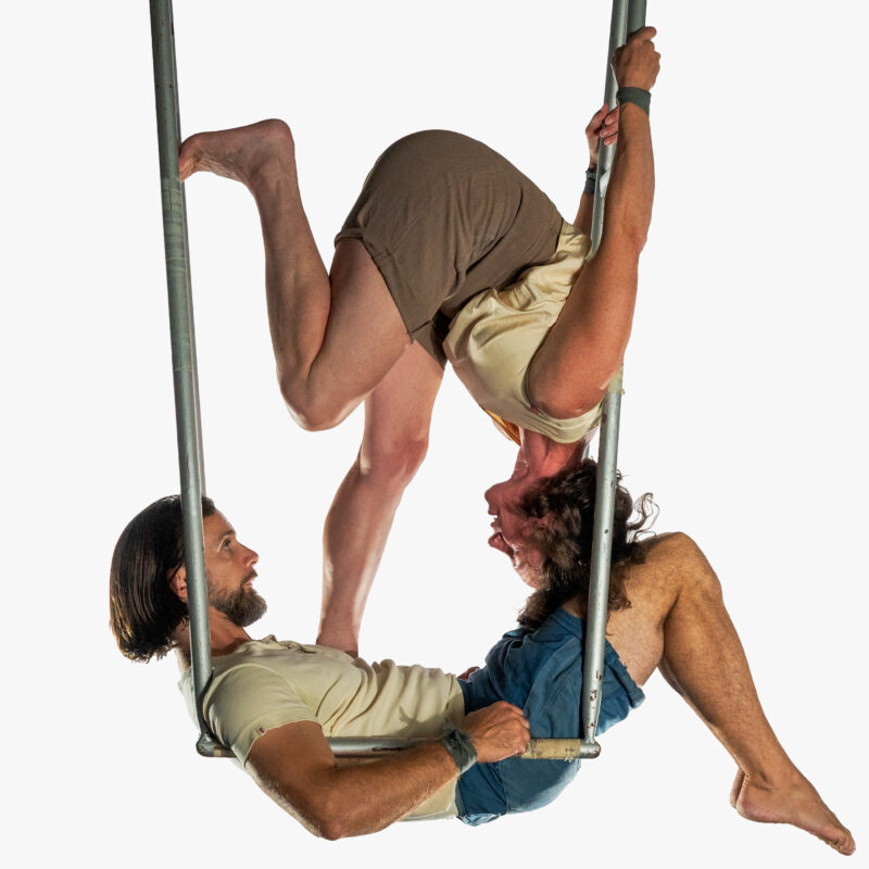 Collaborator Lowry performance