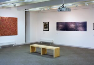 In Focus: Chinese Contemporary Art.