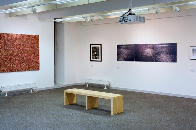 In Focus: Chinese Contemporary Art.